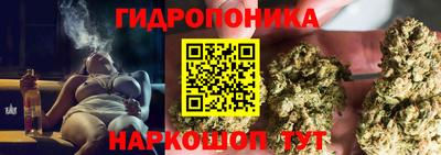 сатива Кингисепп