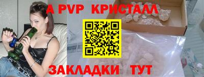 сатива Кингисепп