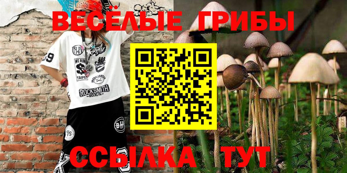 Галлюциногенные грибы ЛСД  Вход с VPN  Коряжма 