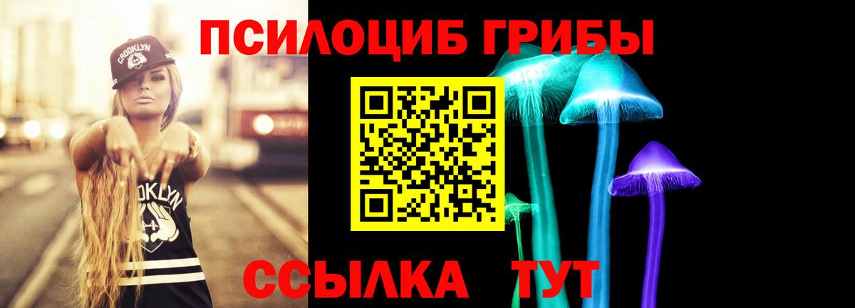 Псилоцибиновые грибы ЛСД Коряжма