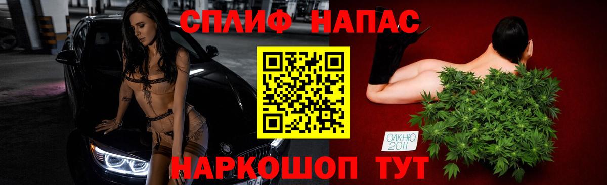 Бошки Шишки планчик Коряжма